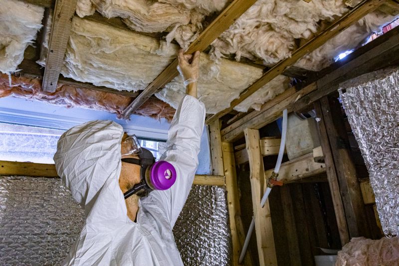 Post-Removal Insulation Inspection