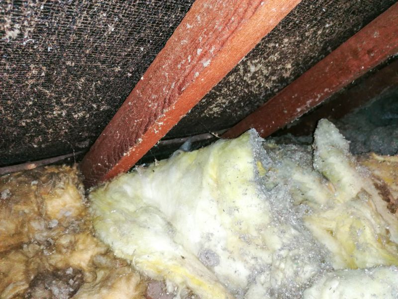 Removing Insulation in Attic